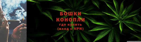 твердый Верхний Тагил