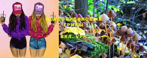 твердый Верхний Тагил