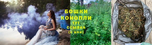 твердый Верхний Тагил