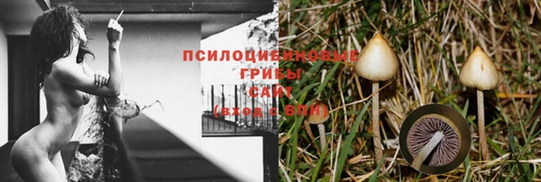 твердый Верхний Тагил