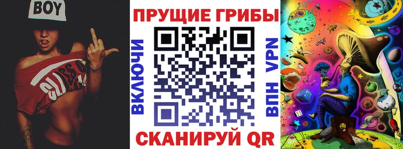 Галлюциногенные грибы прущие грибы  Давлеканово 